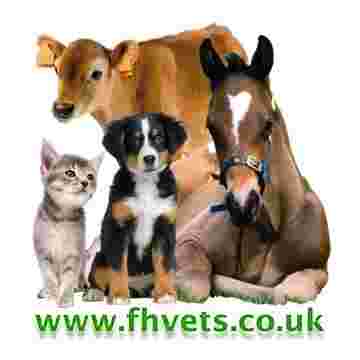Image of Forest House Veterinary Surgery service in Knaresborough, England, United Kingdom