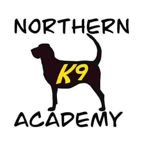 Image of Northern K9 Academy service in Sudbury, Ontario, Canada