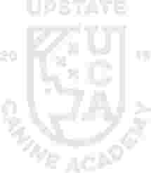 Image of Upstate Canine Academy service in Town of Clifton Park, New York, United States