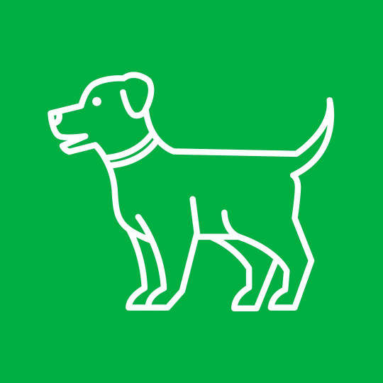 Image of Pet Supplies Plus Whitestown service in Whitestown, New York, United States