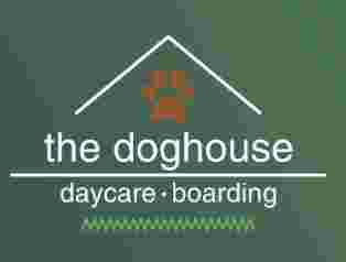 Image of The Doghouse Daycare & Boarding service in Lafayette, California, United States Image of The Doghouse Daycare & Boarding service in Lafayette, California, United States