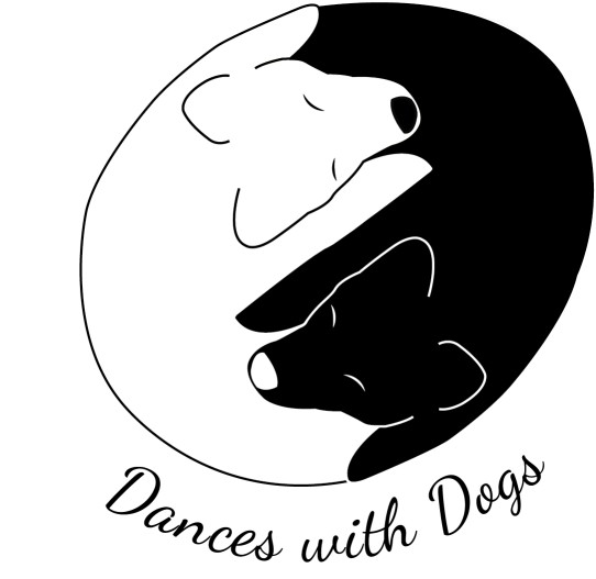 Image of Dances with Dogs - Silver Spring service in South Kensington, Maryland, United States Image of Dances with Dogs - Silver Spring service in South Kensington, Maryland, United States