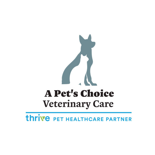 Image of A Pet's Choice Veterinary Care, A Thrive Pet Healthcare Partner service in San Antonio, Texas, United States