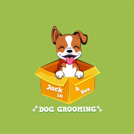 Image of Jack in a Box Dog Grooming service in Belfast, Northern Ireland, United Kingdom
