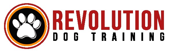 Image of Revolution Dog Training - Tampa service in Tampa, Florida, United States Image of Revolution Dog Training - Tampa service in Tampa, Florida, United States