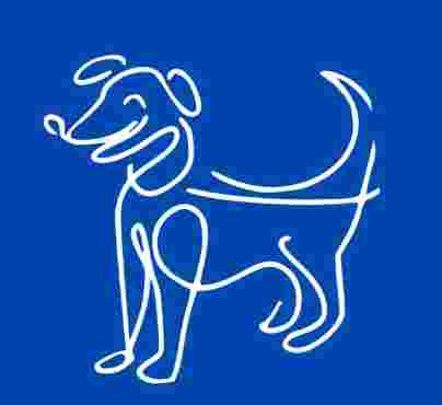 Image of Levernbank Kennels service in Glasgow, Lanarkshire, United Kingdom