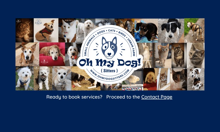 Image of Oh My Dog! (Sitters) LLC service in Olympia, Washington, United States Image of Oh My Dog! (Sitters) LLC service in Olympia, Washington, United States