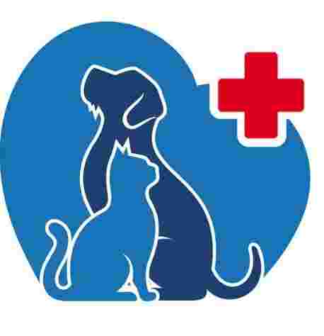 Image of Clinica Veterinaria Coso service in Zaragoza, Zaragoza, Spain