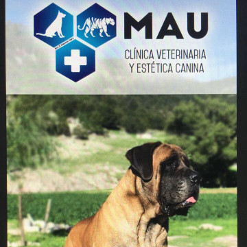 Image of Veterinaria MAU y Estetica Canina service in Chihuahua, Chihuahua, Mexico