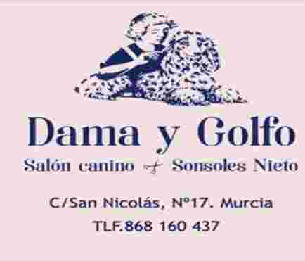 Image of Dama y Golfo Peluqueria Canina Murcia service in Murcia, Murcia, Spain