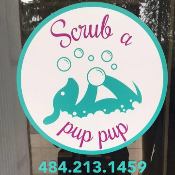 Image of Scrub a Pup Pup service in Conshohocken, Pennsylvania, United States