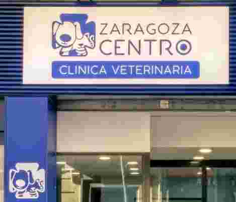 Image of Clínica Veterinaria Zaragoza Centro service in Zaragoza, Zaragoza, Spain