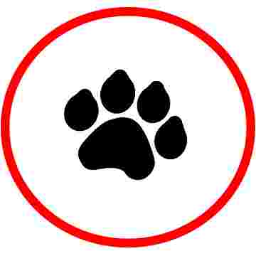 Image of Henderson Valley Vet service in Auckland, Auckland, New Zealand