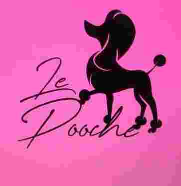 Image of Le Pooche Pet Spa service in San Diego, California, United States Image of Le Pooche Pet Spa service in San Diego, California, United States