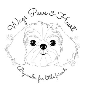 Image of Wags Paws & Heart service in San Francisco, California, United States Image of Wags Paws & Heart service in San Francisco, California, United States