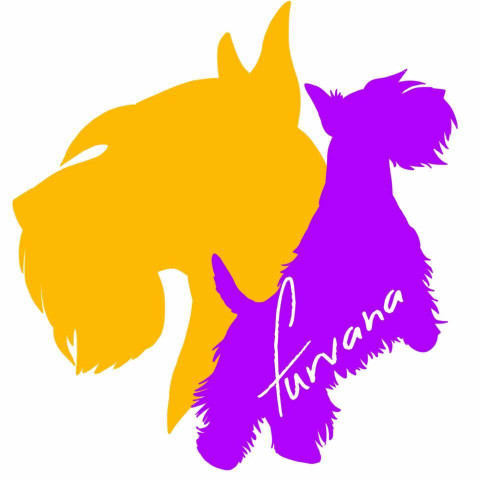 Image of Furvana Pet Salon service in Nashville, Indiana, United States