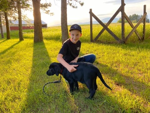Image of North Idaho School of Dog obedience service in Hayden, Idaho, United States Image of North Idaho School of Dog obedience service in Hayden, Idaho, United States
