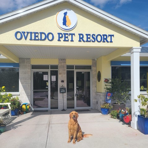 Image of Oviedo Pet Resort LLC. service in Oviedo, Florida, United States Image of Oviedo Pet Resort LLC. service in Oviedo, Florida, United States