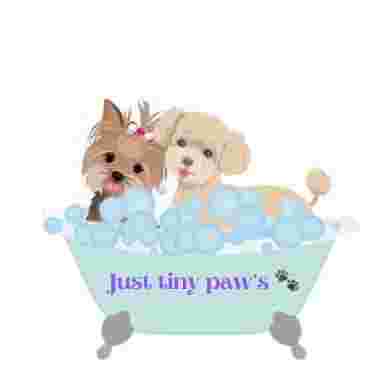Image of JUST TINY PAWS DOG GROOMING service in Las Vegas, Nevada, United States