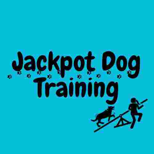 Image of Jackpot Dog Training service in Stoke-on-Trent, England, United Kingdom