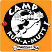Image of Camp Run-A-Mutt Houston Galleria service in Houston, Minnesota, United States Image of Camp Run-A-Mutt Houston Galleria service in Houston, Minnesota, United States