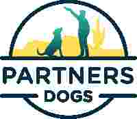 Image of Partners Dog Training, Resort, and Daycare service in Scottsdale, Arizona, United States