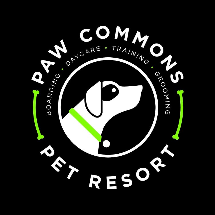 Image of Paw Commons Pet Resort - San Diego service in San Diego, California, United States Image of Paw Commons Pet Resort - San Diego service in San Diego, California, United States