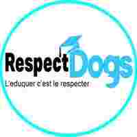 Image of Éducateur canin RespectDogs Savenay Saint-Nazaire service in Saint-Herblain, Loire-Atlantique, France Image of Éducateur canin RespectDogs Savenay Saint-Nazaire service in Saint-Herblain, Loire-Atlantique, France