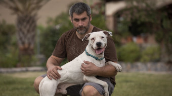 Image of Hotel de Mascotas - La Casa Del Abuelo - Residencia Canina service in Estación de Cártama, Andalusia, Spain