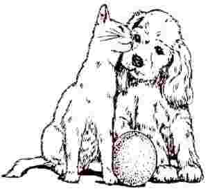 Image of TLC Pet Lodge service in Mentor, Ohio, United States