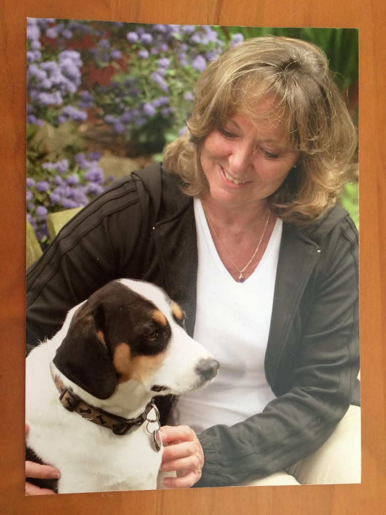 Image of Bainbridge Dog Inn service in Bainbridge Island, Washington, United States