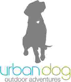 Image of urban dog - North Vancouver service in North Vancouver, British Columbia, Canada Image of urban dog - North Vancouver service in North Vancouver, British Columbia, Canada