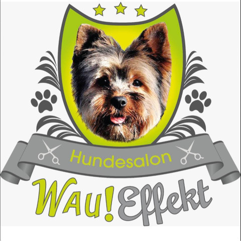 Image of Wau!Effekt service in Frankfurt am Main, Hessen, Germany