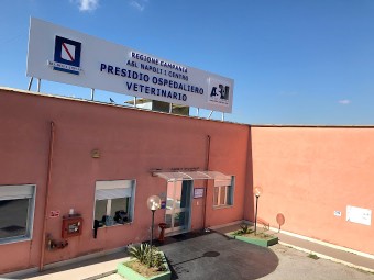 Image of Veterinary Hospital Frullone service in Napoli, Campania, Italy