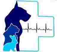 Image of Savanna Veterinari service in Sant Feliu de Llobregat, Barcelona, Spain