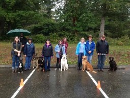 Image of Affordable Dog and Puppy Training service in Port Orchard, Washington, United States Image of Affordable Dog and Puppy Training service in Port Orchard, Washington, United States