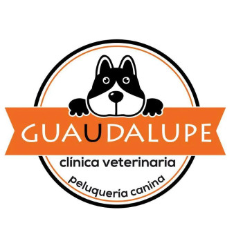 Image of Clínica Veterinaria Guaudalupe service in Guadalupe, Región de Murcia, Spain