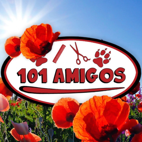 Image of 101 Amigos (Peluqueria Canina) service in Madrid, Madrid, Spain