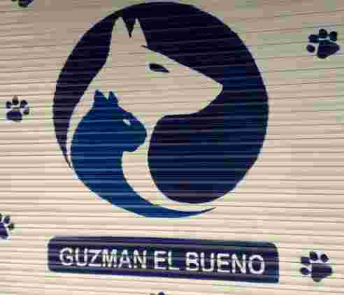 Image of Centro Veterinario Guzmán El Bueno service in Valencia, Valencia, Spain