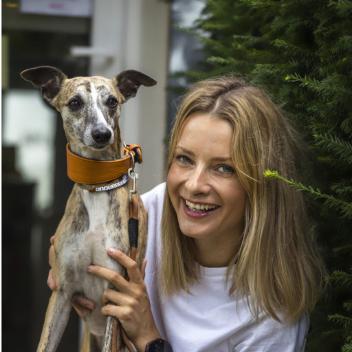 Image of PET CARE BOOKING service in Poznan, Wielkopolskie, Poland