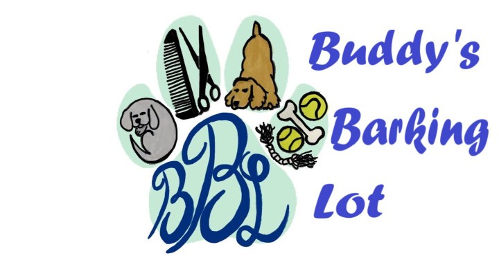 Image of Buddy's Barking Lot service in Village of Elmsford, New York, United States Image of Buddy's Barking Lot service in Village of Elmsford, New York, United States
