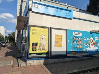 Image of Psie cięcie - Groomer Warszawa service in Warszawa, Mazowieckie, Poland