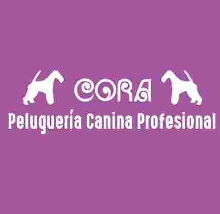 Image of Peluqueria Canina Cora service in Murcia, Murcia, Spain