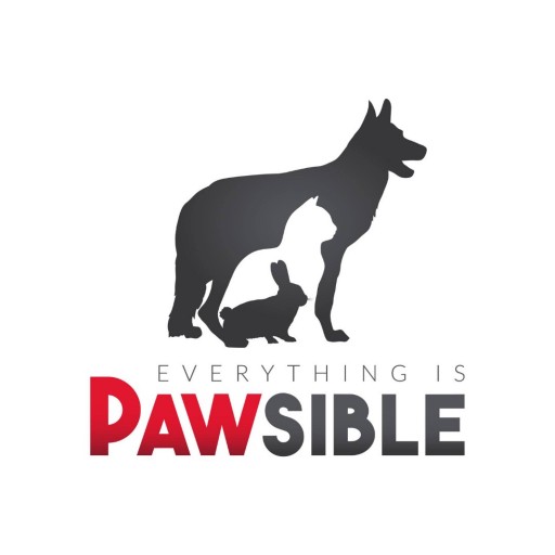 Image of Everything Is Pawsible service in Jacksonville Beach, Florida, United States