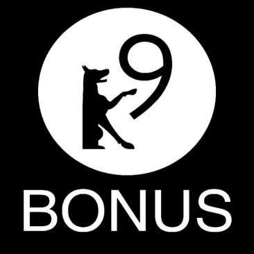 Image of K9 Bonus Ltd service in Magherafelt, London, United Kingdom