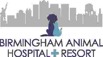Image of Birmingham Animal Hospital + Resort service in Birmingham, Alabama, United States Image of Birmingham Animal Hospital + Resort service in Birmingham, Alabama, United States