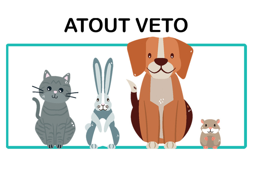 Image of Atout Véto - Dr Nathalie Lèbe service in Merignac, Gironde, France