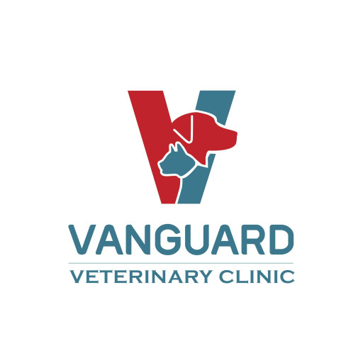 Image of Vanguard Veterinary Clinic Redland service in San Antonio, Texas, United States