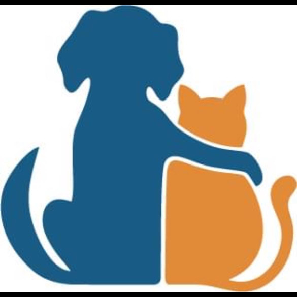 Image of Coyne Veterinary Center Westfield service in Westfield, Massachusetts, United States