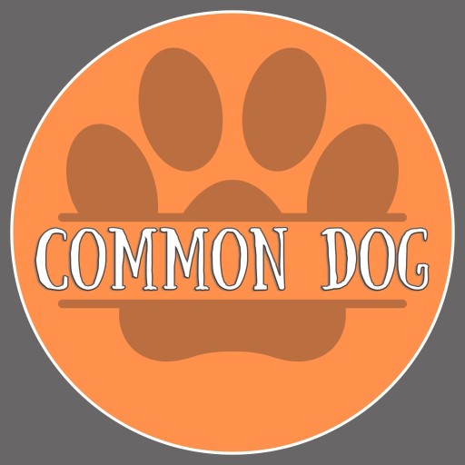 Image of The Common Dog service in Middlesex County, Massachusetts, United States Image of The Common Dog service in Middlesex County, Massachusetts, United States